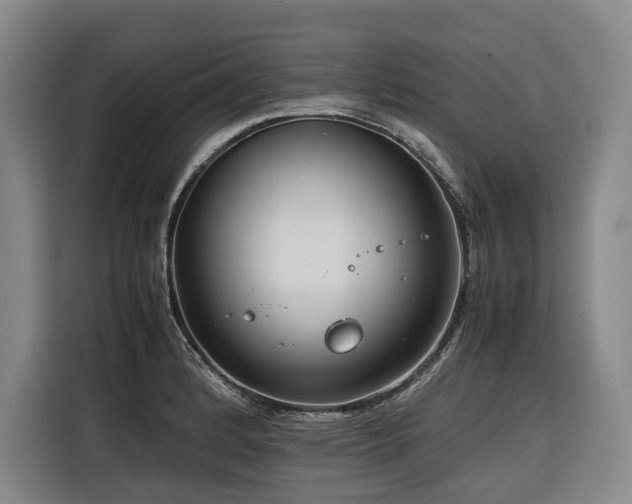 X0000116661184200912141314