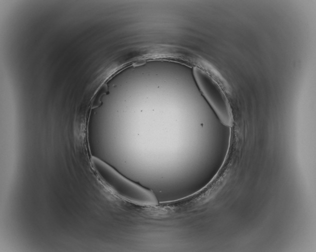 X0000116661185200912141314