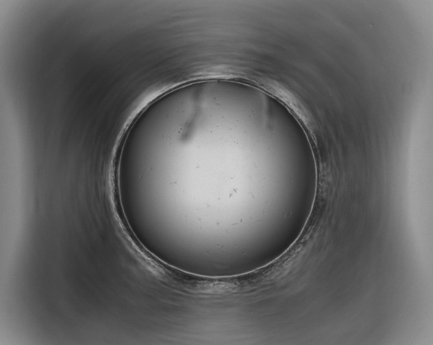 X0000116661187200912141314