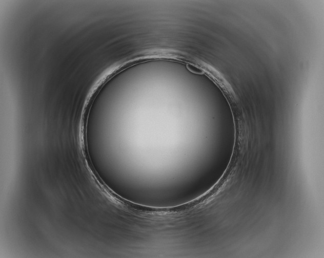 X0000116661188200912141314