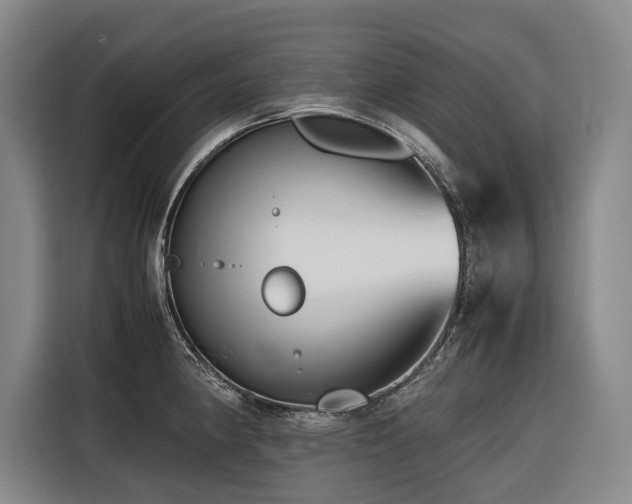 X0000116661190200912141314