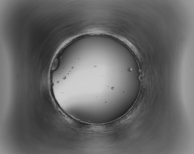 X0000116661191200912141314