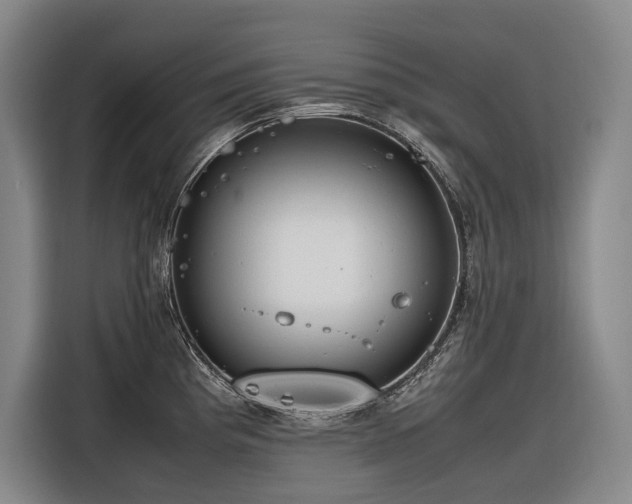 X0000116661193200912141314