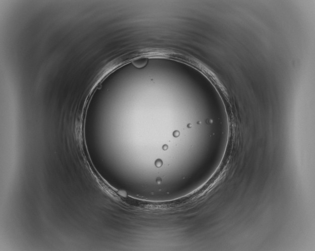 X0000116661194200912141314