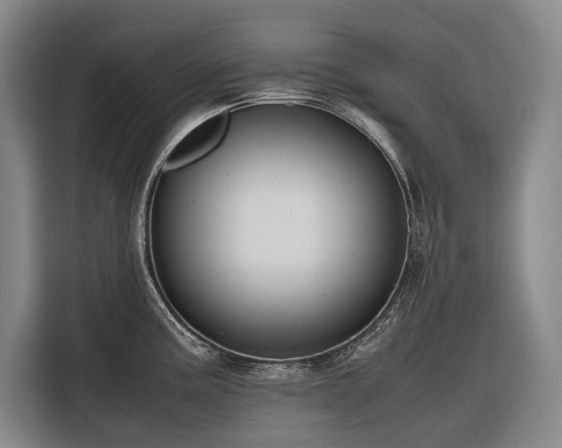 X0000116661195200912141314