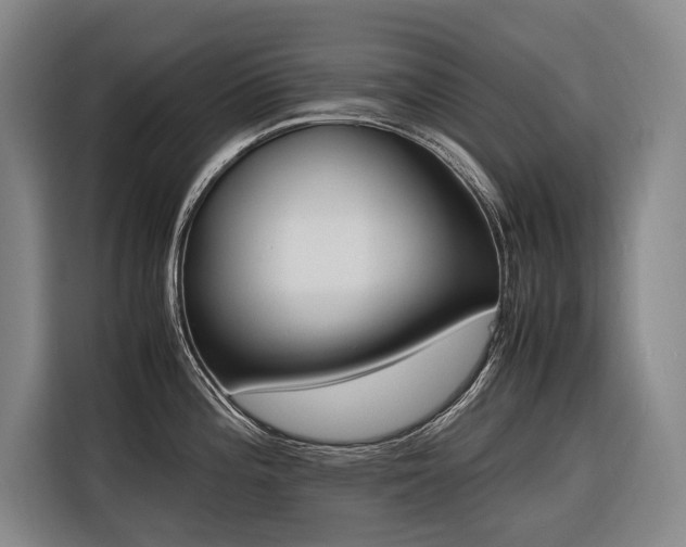 X0000116661196200912141314