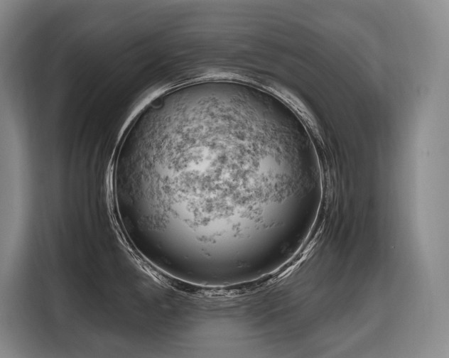 X0000116661198200912141314