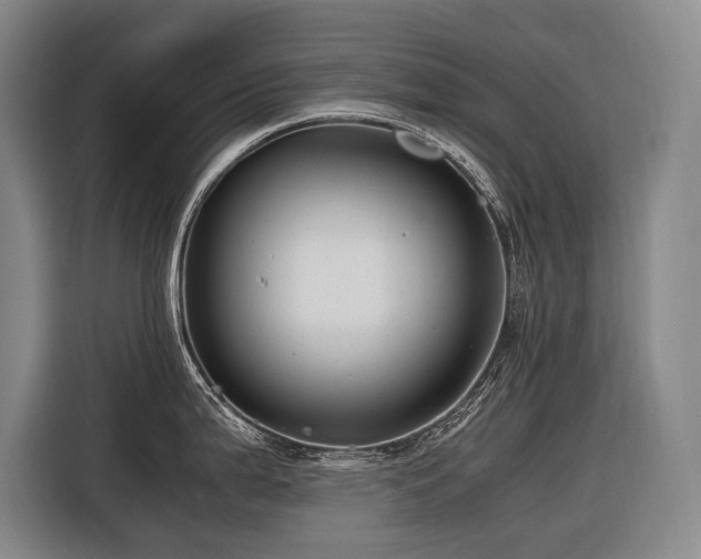 X0000116661199200912141314