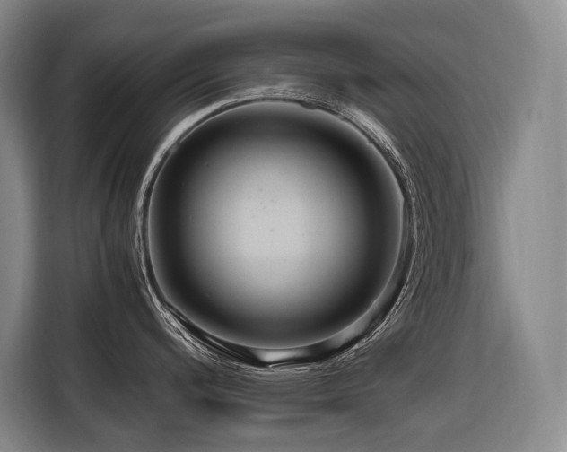 X0000116661200200912141314