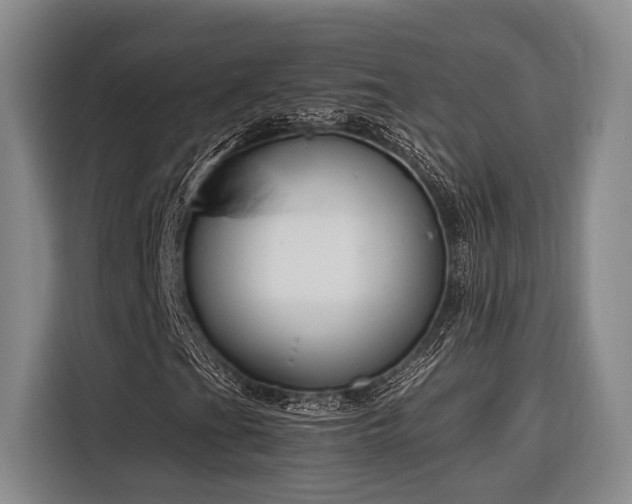 X0000116661201200912141313