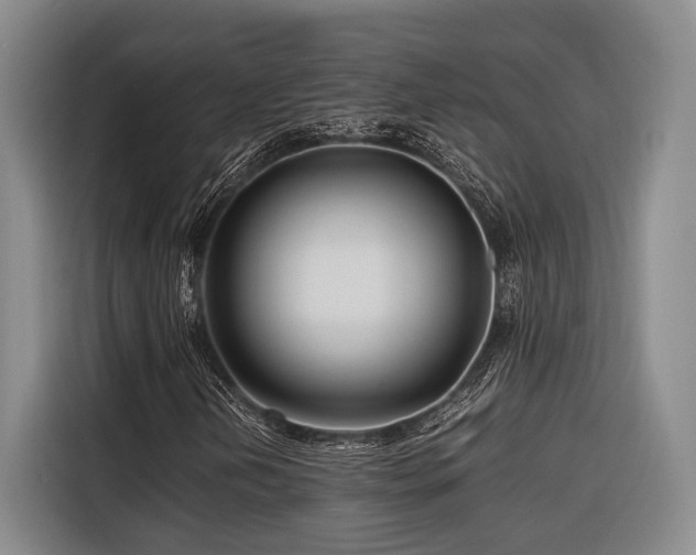 X0000116661202200912141313