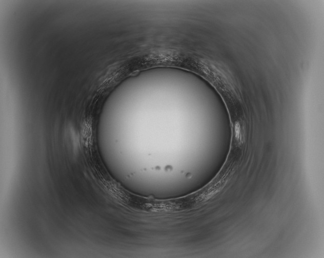 X0000116661203200912141313