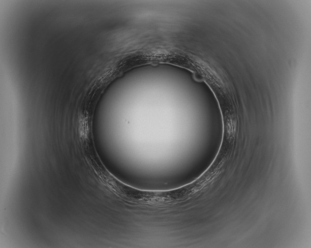 X0000116661204200912141313