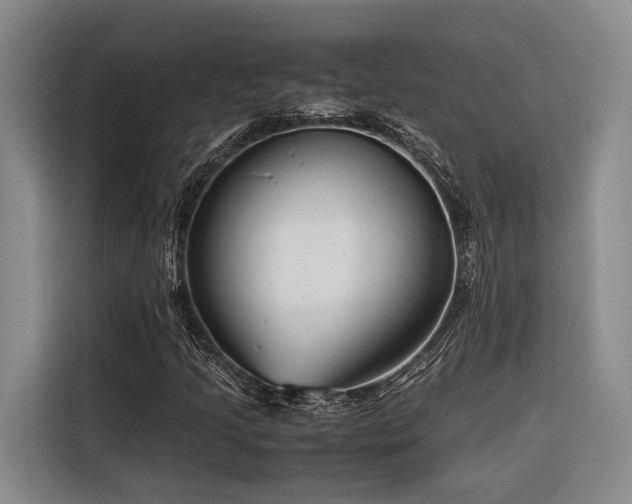 X0000116661205200912141314