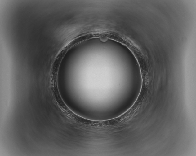 X0000116661208200912141314