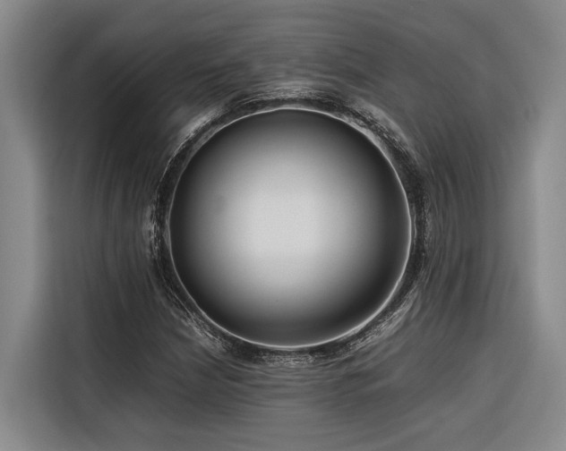 X0000116661210200912141314