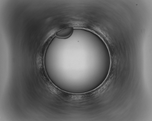 X0000116661211200912141314