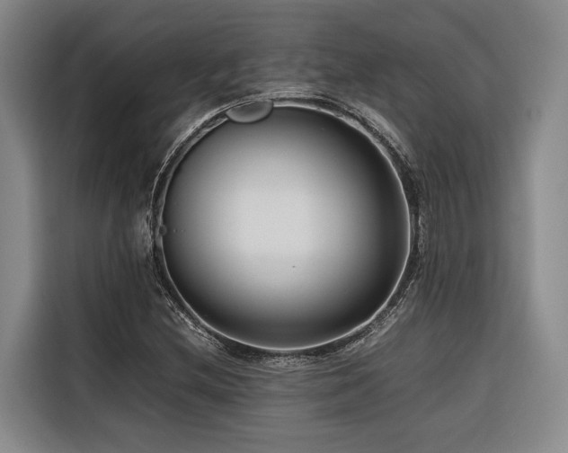 X0000116661212200912141314