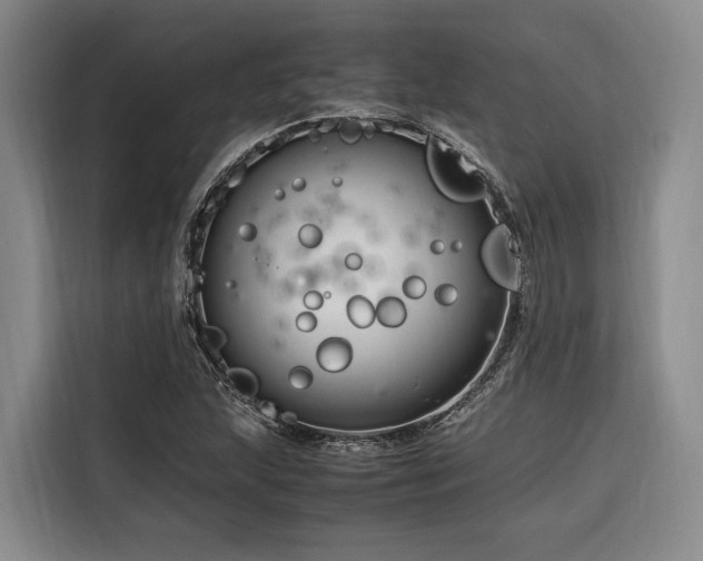 X0000116661215200912141314