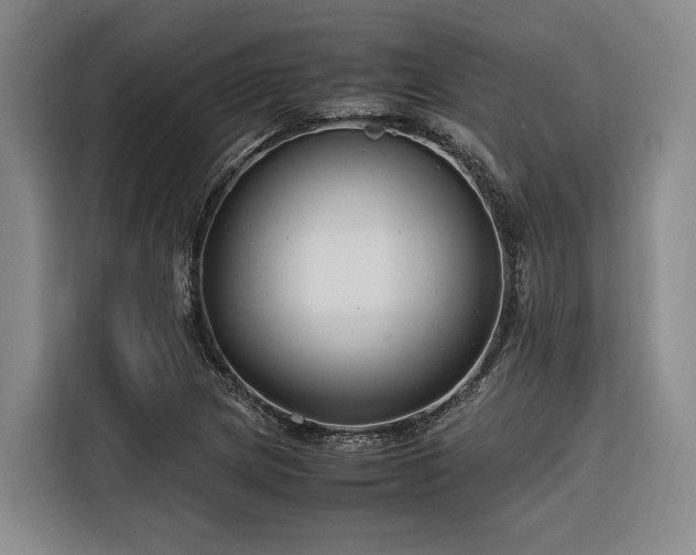 X0000116661217200912141314