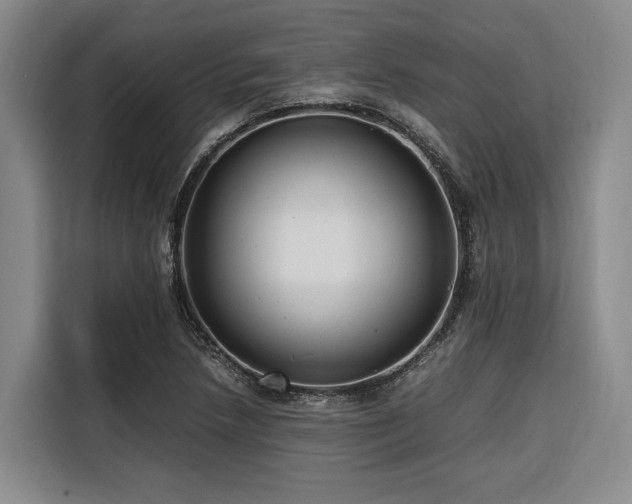 X0000116661218200912141314