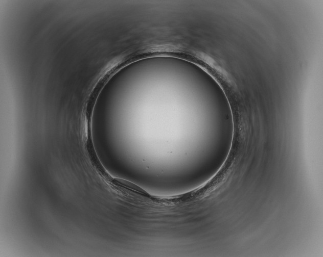 X0000116661221200912141314