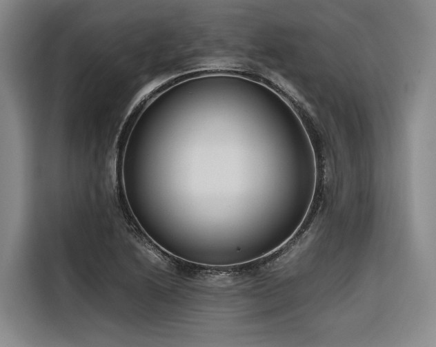 X0000116661222200912141314