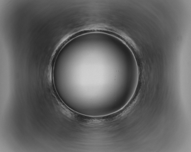 X0000116661224200912141314