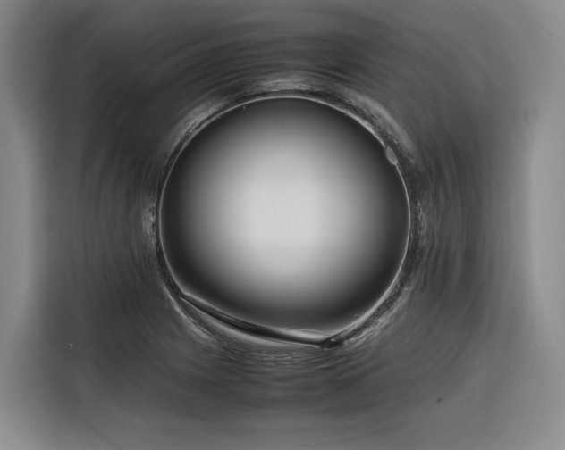 X0000116661225200912141314