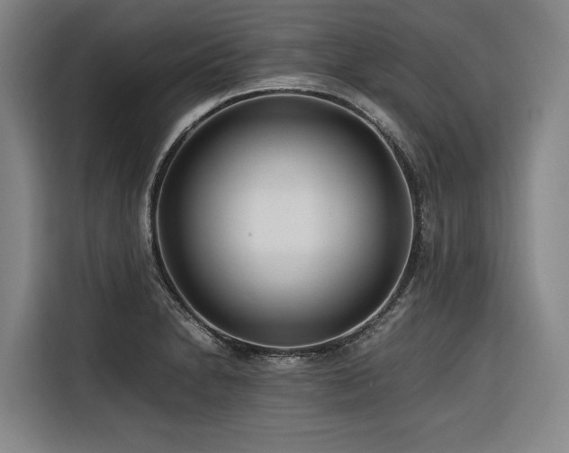 X0000116661230200912141314