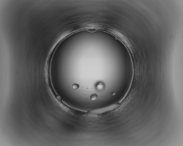 X0000116661235200912141314