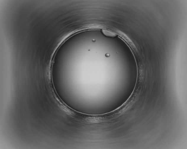 X0000116661236200912141314