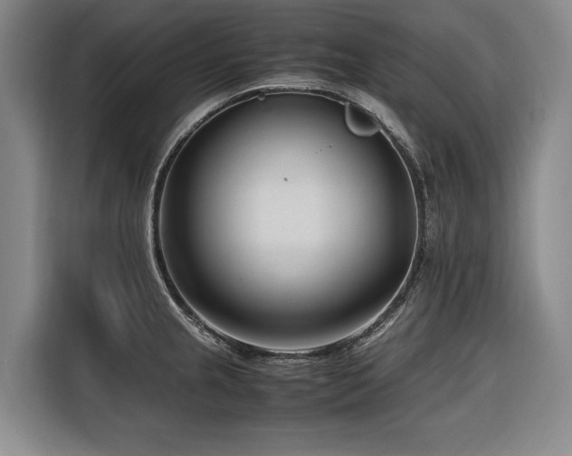 X0000116661237200912141314