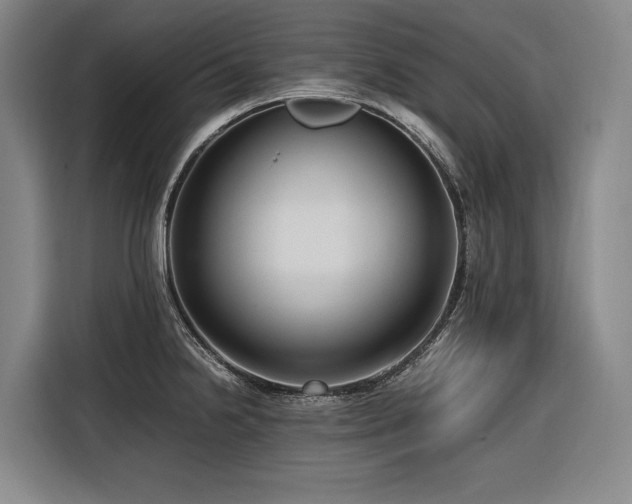 X0000116661238200912141314