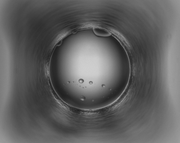 X0000116661241200912141314