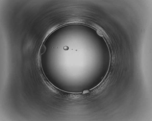 X0000116661242200912141314