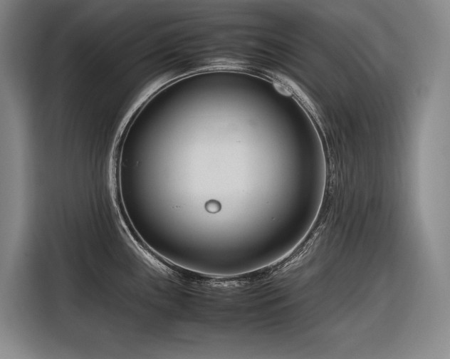 X0000116661243200912141314