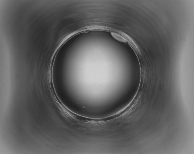 X0000116661244200912141314