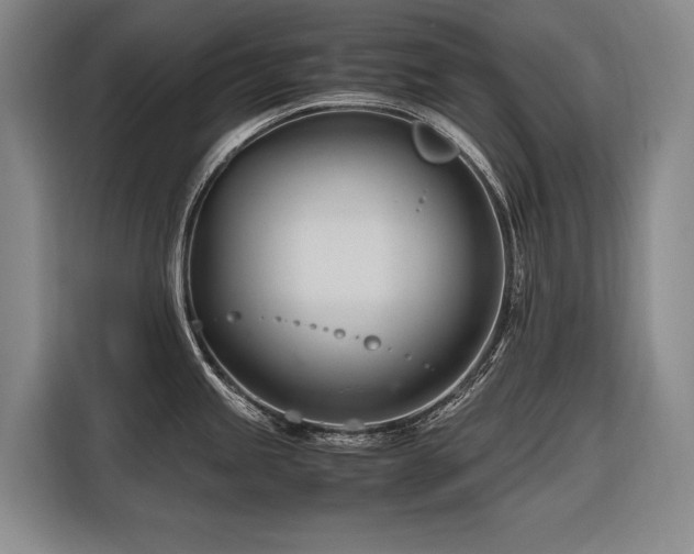 X0000116661245200912141314