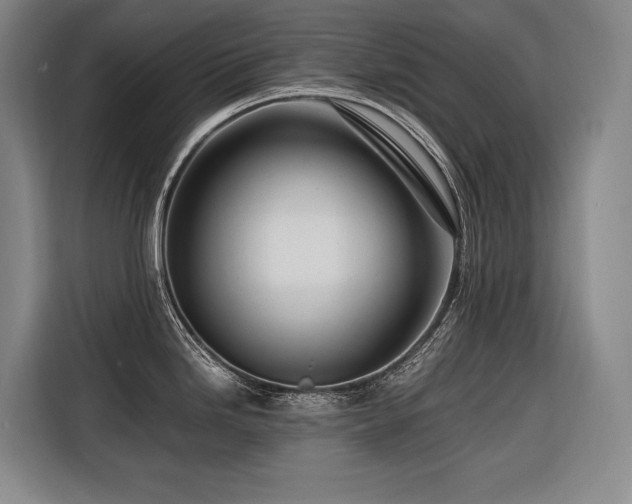 X0000116661246200912141314