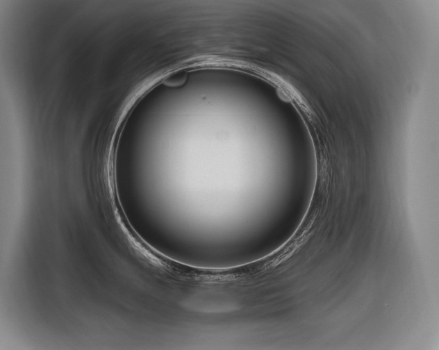 X0000116661247200912141314