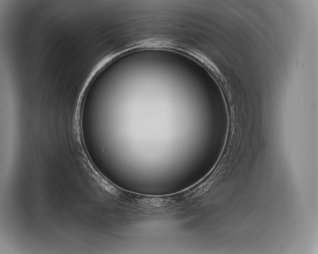 X0000116661248200912141314