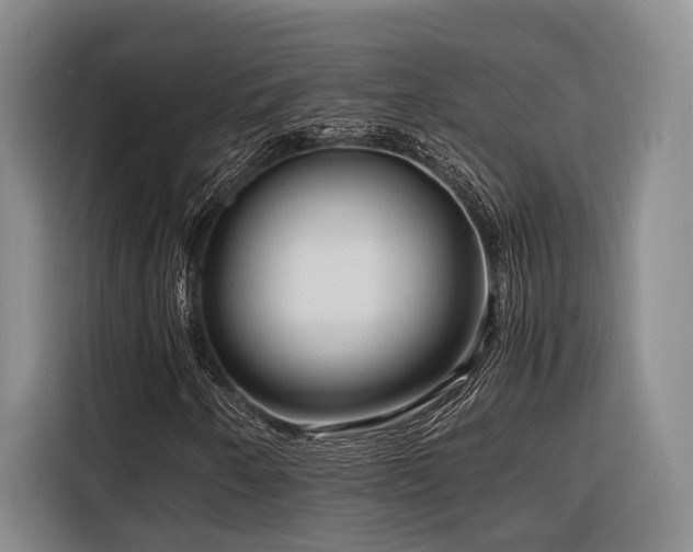 X0000116661250200912141313