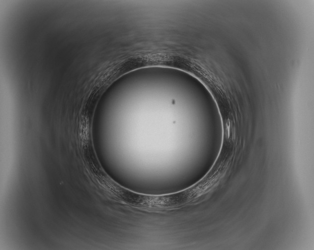 X0000116661251200912141313