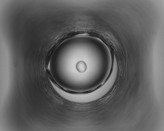 X0000116661252200912141313