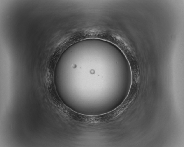 X0000116661253200912141313