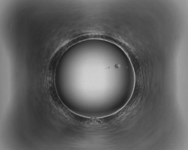 X0000116661255200912141313