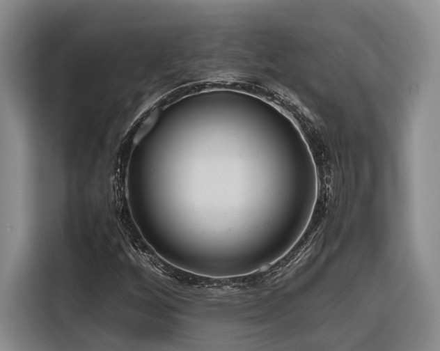 X0000116661256200912141313