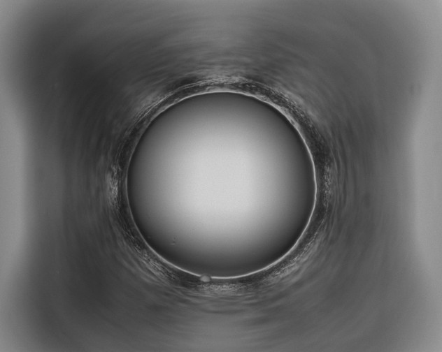 X0000116661257200912141313