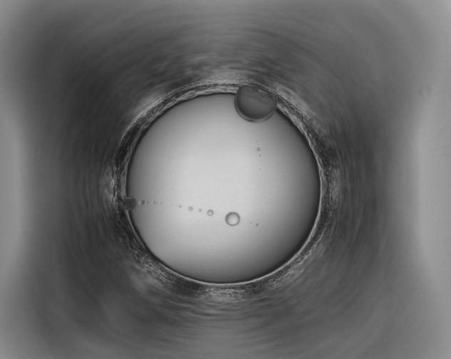 X0000116661258200912141313